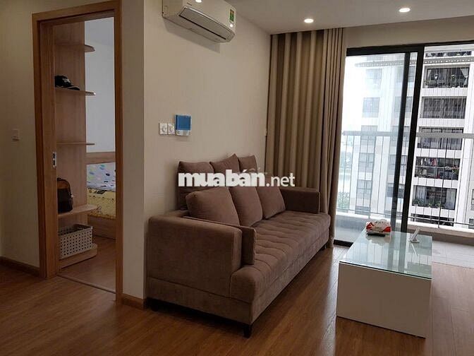 Cho thuê 1,5PN miễn phí dịch vụ dự án D'Capitale Trần Duy Hưng