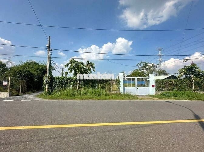 CHÍNH CHỦ BÁN ĐẤT MẶT TIỀN ĐƯỜNG LỚN 6x30 700 TRIỆU SANG TÊN NGAY SHR