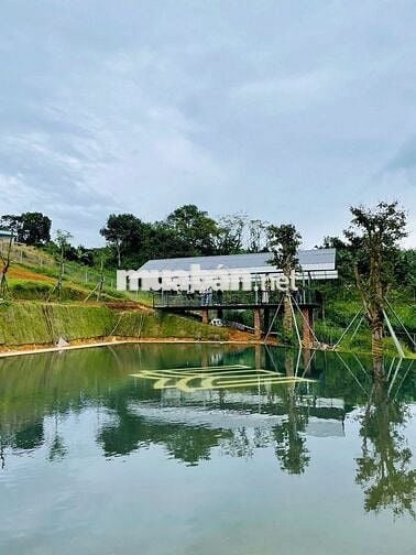 Bán đất tại Lộc Đức, Bảo Lâm, Lâm Đồng, 5 triệu VND, 186m2