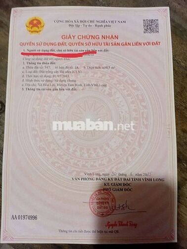 Đất trồng cây lâu năm phân nền