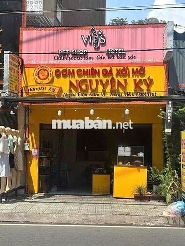 Cho thuê nhà mặt tiền: Thống Nhất, P.10, Gò Vấp. 4.5 x28m