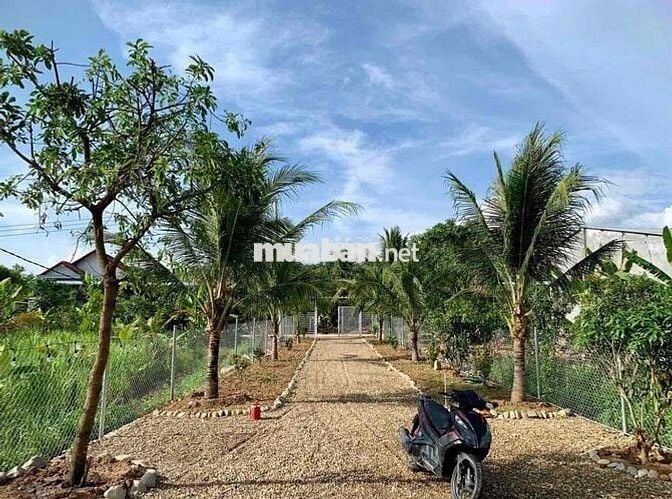 Em Hiền chính chủ cần bán miếng đất kèm căn nhà nhỏ . Tổng diện tích 2