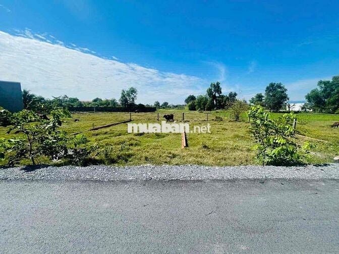 Cần bán lô đất củ chi đường nhựa giá hời sinh lời cao