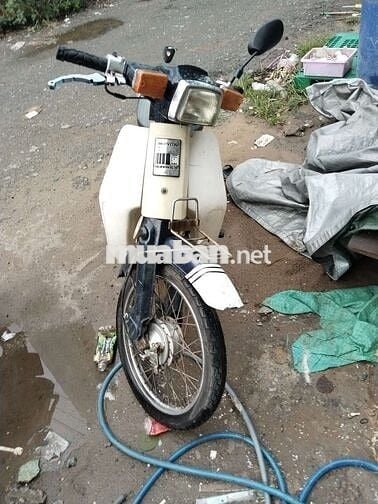 Cup han quốc 50cc