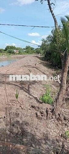 NHỈNH 2T LÔ ĐẤT ĐÓN ĐẦU VÀNH ĐAI