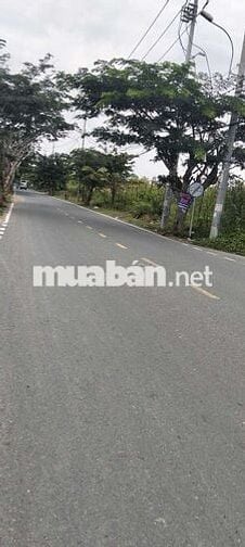 Bán đất Mặt tiền đường Ngô Quang thắm Xã Long Thới DT 10.000m2