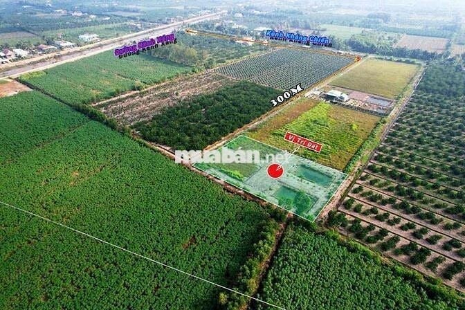 đất vườn Bến lức Long An giá rẻ