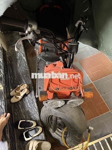 honda zumer nhật bãi