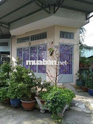 Nhà cho thuê trong hẻm Q8 Phạm Thế Hiển. Ngang 4m dài 6m, 1 lầu