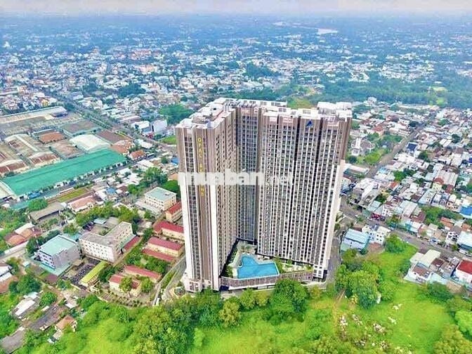 Chính chủ cần bán gấp căn hộ Opal Skyline 2p 64m2