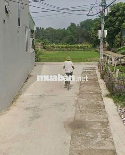 Bán đất tổ 11, Quang Minh, Mê Linh. Lô góc 2 mặt thoáng, đường thông,