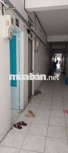 Cho thuê nhà chung cư hồng loan