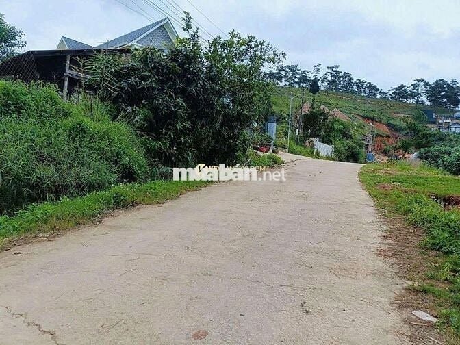 Chủ ngộp BANK cần ra nhanh lô đất mặt tiền KQH MĂNG LIN 751m²
