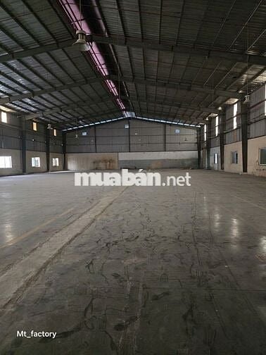 CHO THUÊ NHÀ XƯỞNG ĐẸP KCN ĐỨC HÒA, PHÁP LÝ HOÀN CHỈNH GIAO NGAY