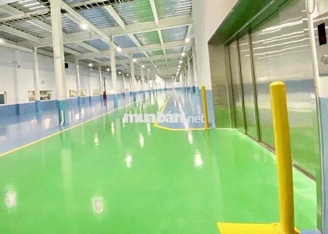 🔴 Xưởng 8000m2, KCN Tân Đô, xã Đức Hoà Hạ, huyện Đức Hoà, tỉnh Long An