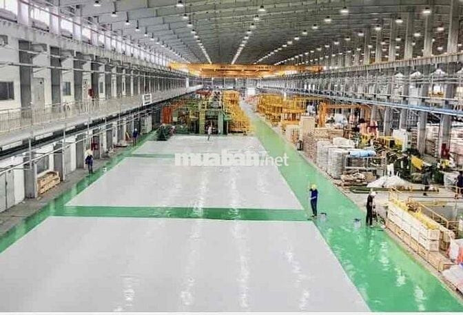 🔴 Xưởng 4000m2, tỉnh Lộ 824, xã Mỹ Hạnh Bắc, huyện Đức Hoà, Long An