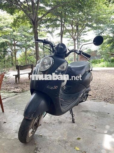 Xe đã qua sử dụng
