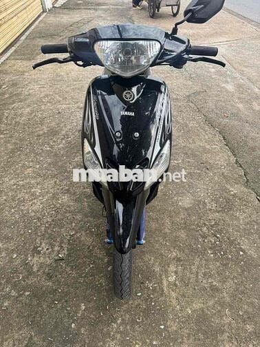 mio thái  2006 kiểng đẹp bstp bs68 trao đổi