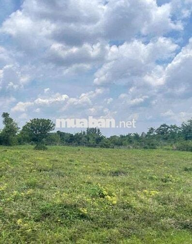 🌿 BÁN ĐẤT XÃ BẢO BÌNH – HUYỆN CẨM MỸ – TỈNH ĐỒNG NAI 🌿  📍 Vị trí: Xã B