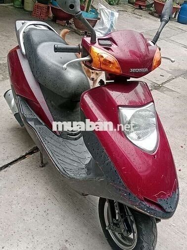 HonDa tay ga @ biển Sài Gòn