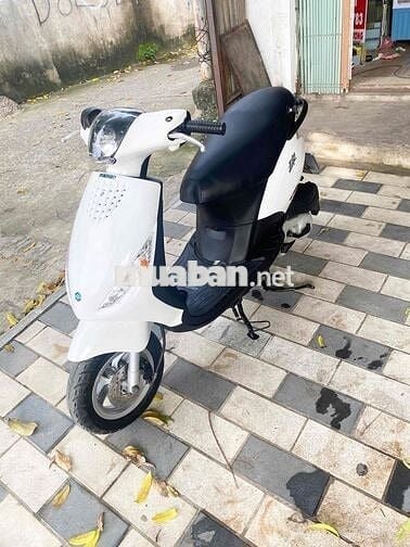 zip piaggio
