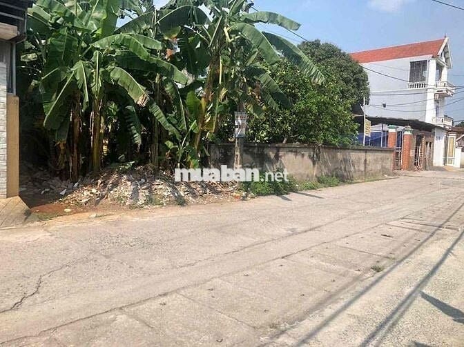 Bán đất thổ cư 100m² tại Tổ 18, Phường Đồng Mai, Quận Hà Đông, Hà Nội