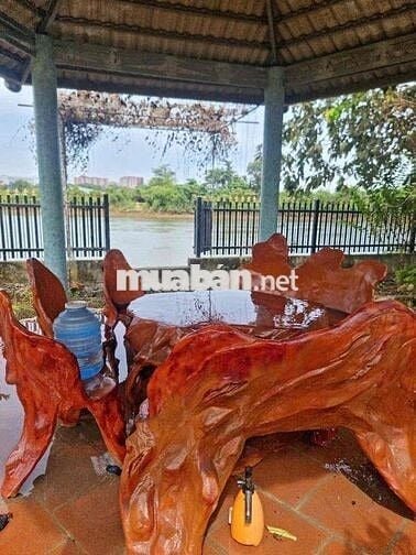 Chính chủ cần bán vườn bưởi tại Tân Uyên View sông Đồng Nai