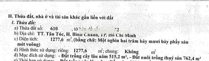 Vị trí trung tâm thị trấn Tân Túc, Bình Chánh