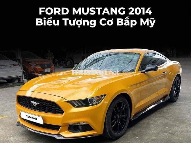 Ford Mustang Cũ 2.3L AT 2014 - 80000 km ốp Carbon