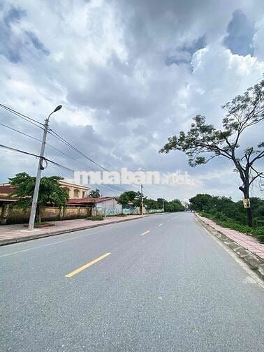 CC BÁN GẤP MẢNH ĐẤT ĐẸP 200m2 SÁT VIN OCEAN PARK 2 - TÂN QUANG,VĂN LÂM