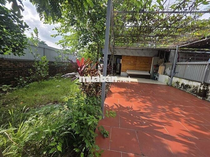 Ngọc Thụy- Nguyên Căn 60m2 + 100m2 sân vườn - 6,5Tr