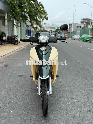 xipo 120 HQCN 99 31 đầu chính chủ bao giám định