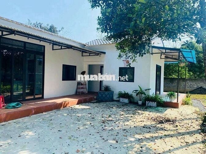BÁN ĐẨT MẶT TIỀN ĐƯỜNG NGUYỄN VĂN TRỖI -THỦ DẦU MỘT 120 M2 GIÁ 860tr