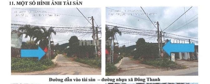 Bán đấu giá tài sản của MSB tại Đông Thanh, Lâm Hà (Nam Ban Lâm Hà) 