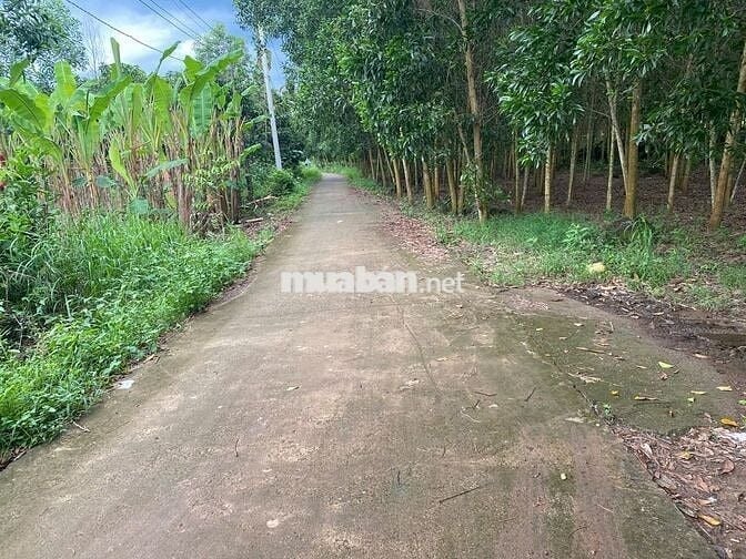 CHỈ 1,4 TỶ SỞ HỮU NGAY LÔ ĐẤT 3500M2 ĐÃ TÁCH RA 03 SỔ