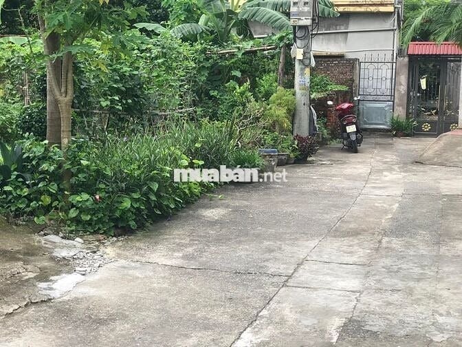 Bán gấp đất Đại Áng ô tô ngủ trong đất ,diện tích rộng giá rẻ 8.5 tỷ
