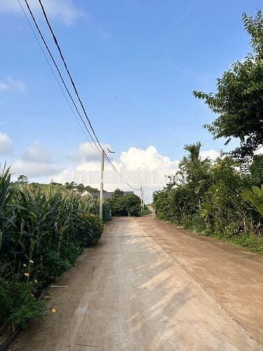Chính chủ cần bán đất Mê Linh Nam Ban Lâm Hà 234m2 thổ cư 75m2