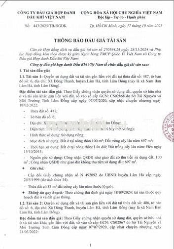 BĐS Xã Đông Thanh, huyện Lâm Hà, Lâm Đồng (Nam Ban Lâm Hà, Lâm Đồng)