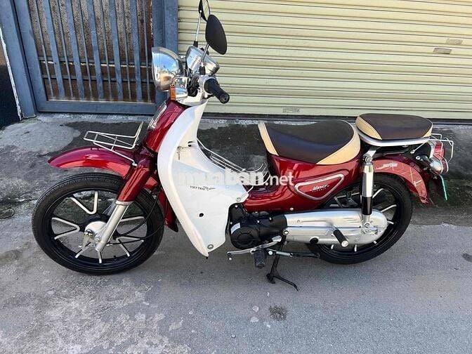 cúp việt thái 50cc