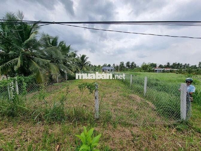 Bán 543.9m2 (10x55m) đất full thổ cư gần KCN Tân Hương