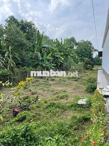Chính chủ bán đất MT Bến Đường Cát, Tân Thạnh Đông, 560m2, 6.9 Tỷ