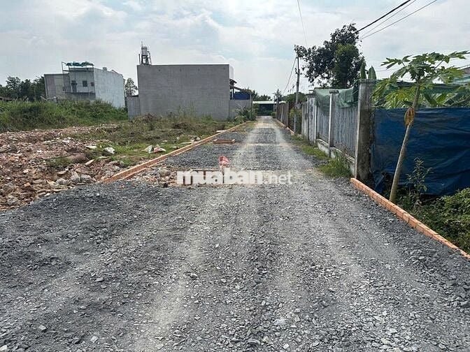 BÁN ĐẤT DT: 96M2, THỔ CƯ, SỐ HỒNG MẶT TIỀN TẠI BÌNH MỸ, CỦ CHI, HCM