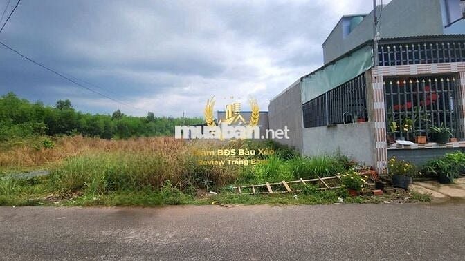 116m2 đất mặt đường nhựa sát vách KCN Bàu Xéo 2 và Tổng kho 620ha
