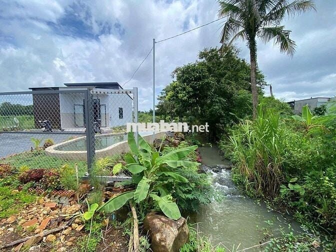 Tôi Cần bán GẤP Căn Nhà 850m2 đất vườn có sẵn căn nhà nhỏ