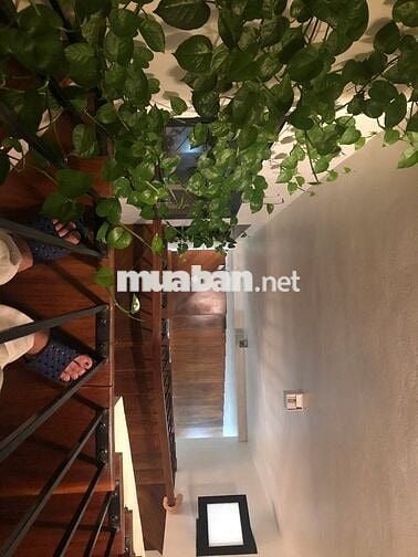 Nhà 43m2 Mặt Phố Thạch Bàn Vào Cách 1 Nhà, Aeon Long Biên -  Hơn 8 tỷ