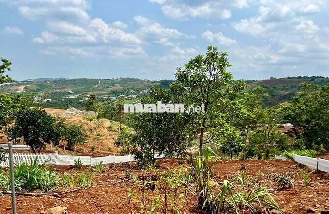 Đất nghỉ dưỡng vùng ven Đà Lạt đã có kè và vườn cây ăn trái