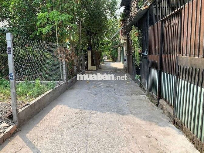 Ban đat so chung cong chung vi bang phuong an thanh thuan an binhduong