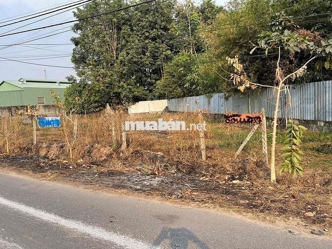 kẹt tiền cần bán gấp lô đất mặt tiền Đường Trần Thị Tuồng