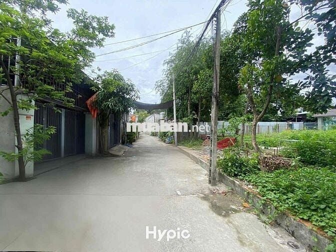 Bán đất sổ riêng 100m2, Bùi Thị Xuân phường Tân Đông Hiệp - Dĩ An