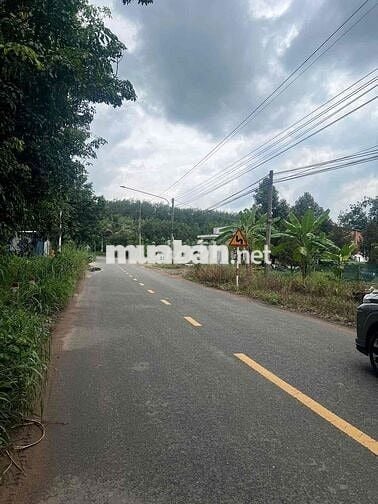 Bán đất mặt tiền Phan Đình Phùng, P.Uyên Hưng Tân Uyên 800tr/240m2